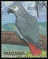 stamp AfricanGrey2