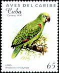 stamp Amazon2