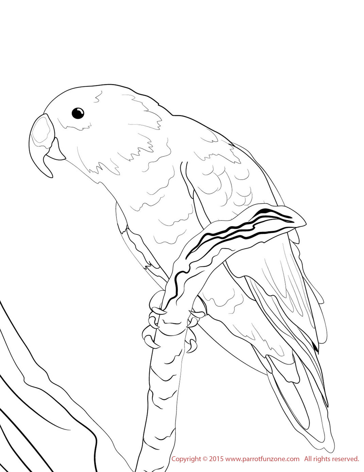 macaw coloring pages super coloring male - photo #12