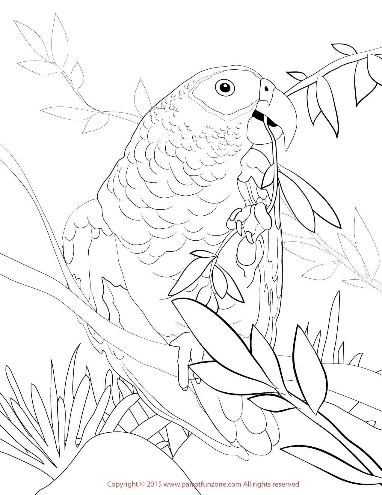 Scarlet Macaw Coloring Page with Fun Fact {FREE Printable Download