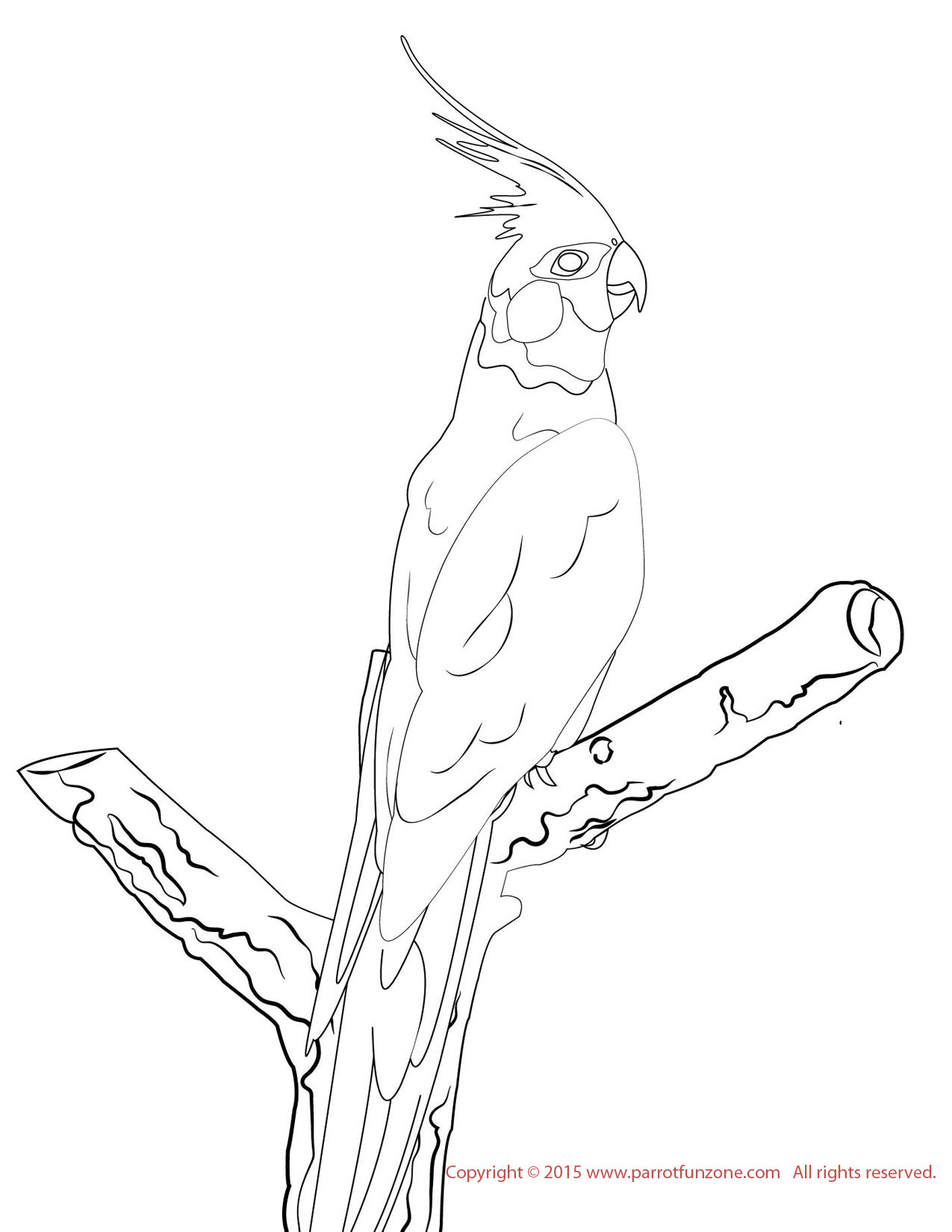 blue and yellow macaw coloring page