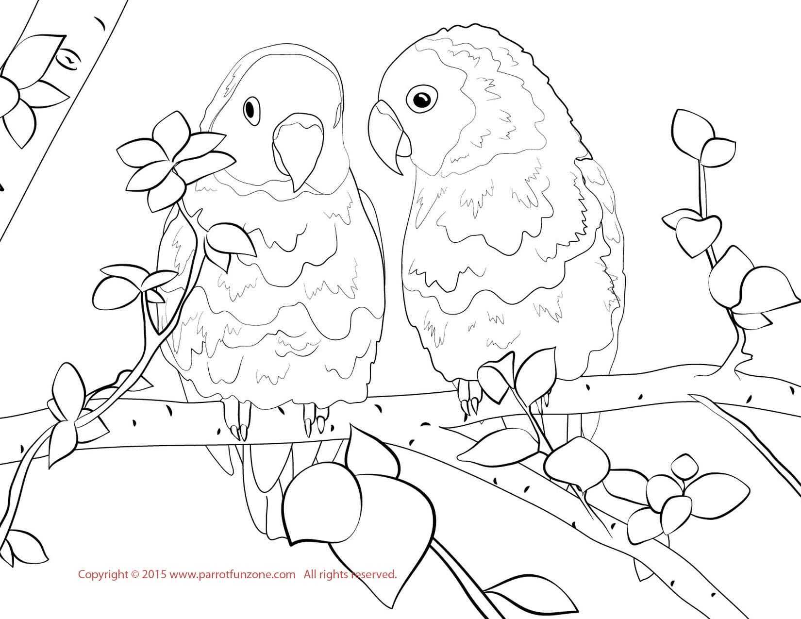 lovebirds coloring page