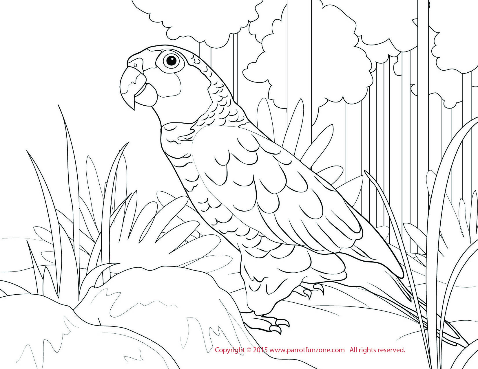 red lored amazon coloring page