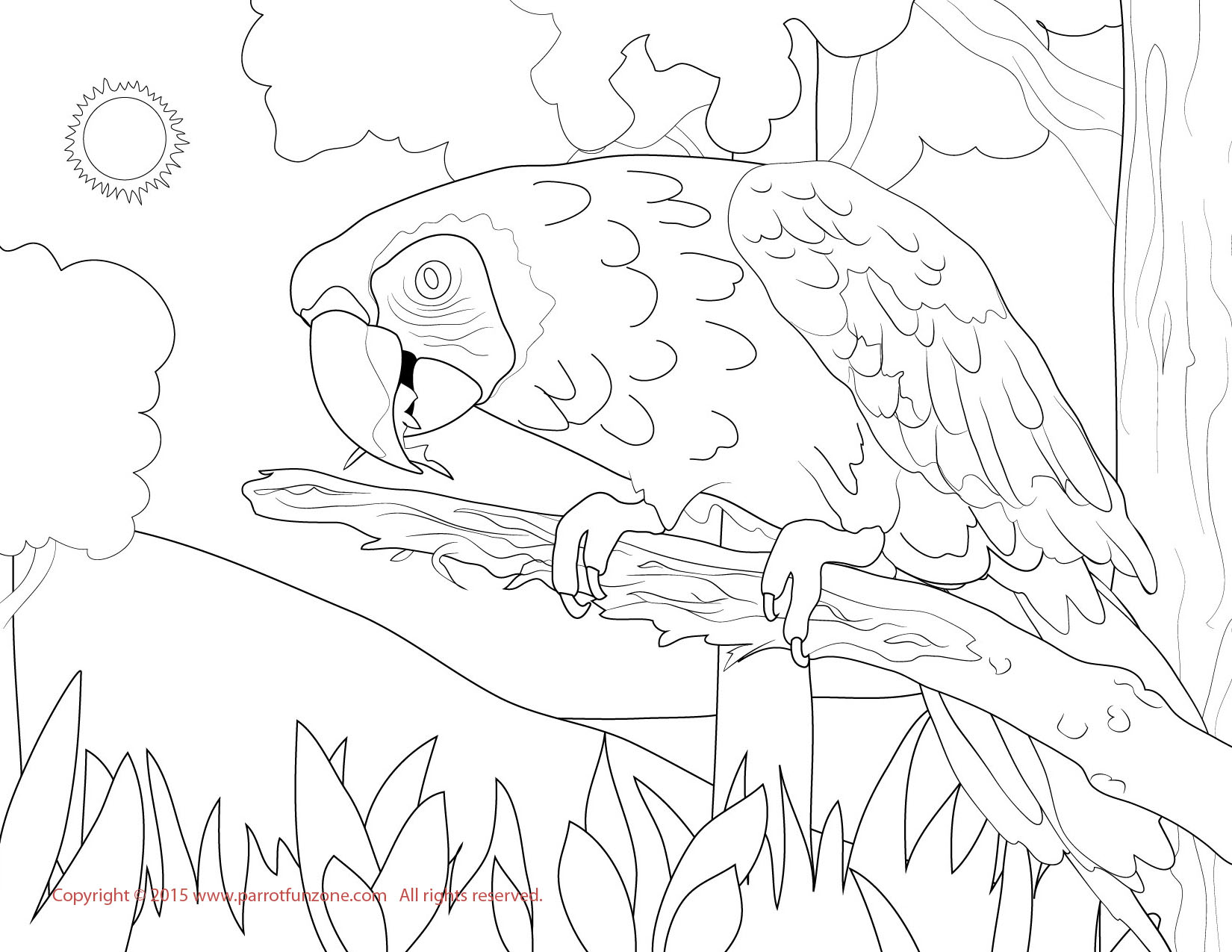 blue and yellow macaw coloring page